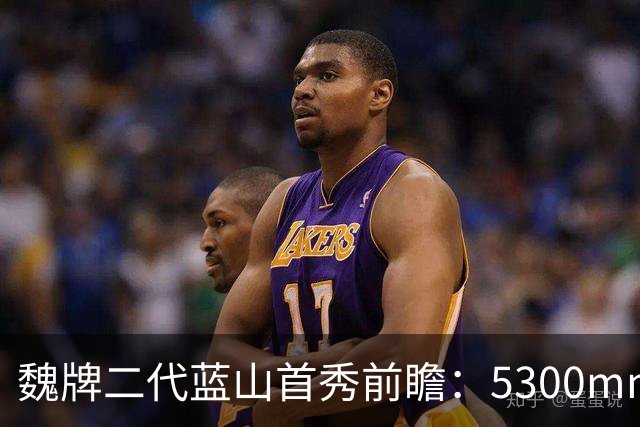 魏牌二代蓝山首秀前瞻：5300mm的方盒子、装了一套2.0T四挡混动